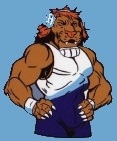 Lions wrestling logo.